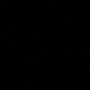 Meet your Posher, Bella